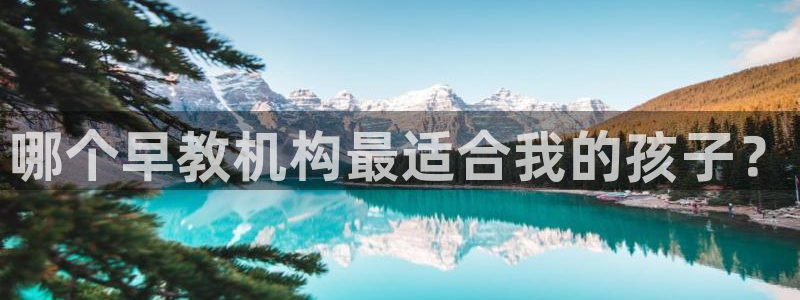 天狮娱乐真的假的：哪个早教机构最适合我的孩子？