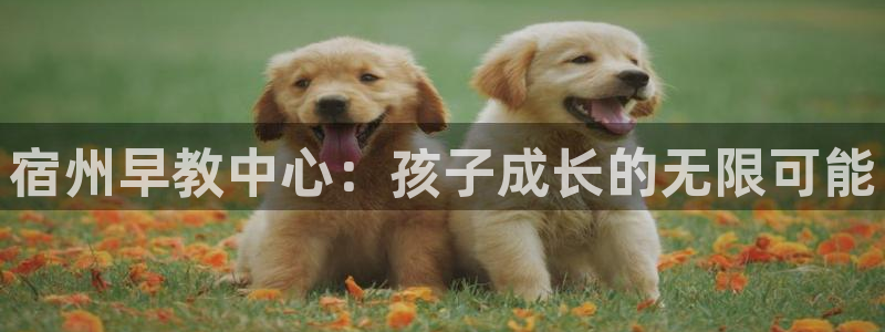 天狮娱乐　23976实c力：宿州早教中心：孩子成长的无限可能