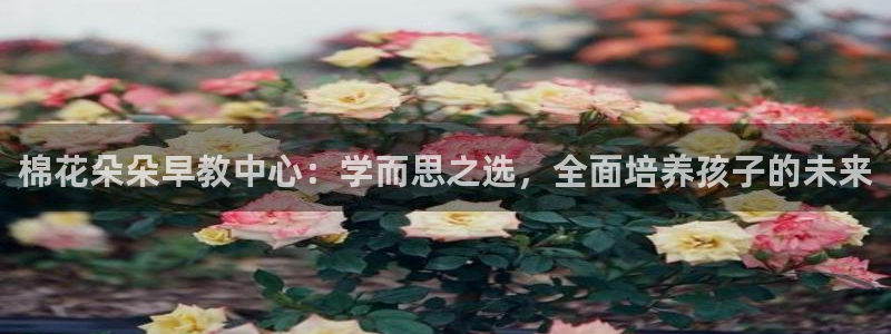 天狮娱乐代理：棉花朵朵早教中心：学而思之选，全面培养孩子的未来