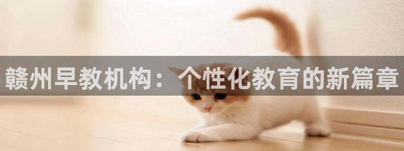 天狮娱乐注册官方：赣州早教机构：个性化教育的新篇章