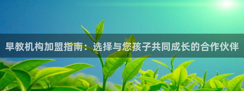 天狮娱乐主管招商：早教机构加盟指南：选择与您孩子共同成长的合作伙伴