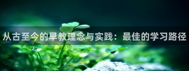天狮娱乐招j商443593：从古至今的早教理念与实践：最佳的学习路径