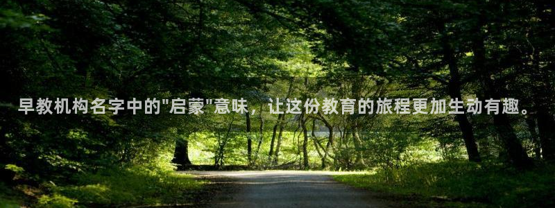 天狮娱乐电脑版：早教机构名字中的\