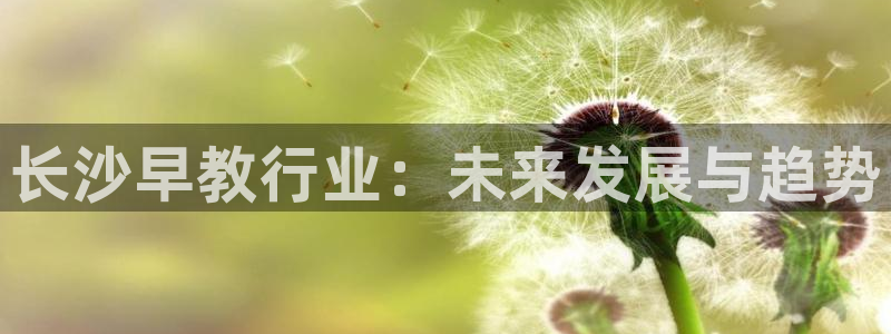 狮山天街休闲娱乐：长沙早教行业：未来发展与趋势