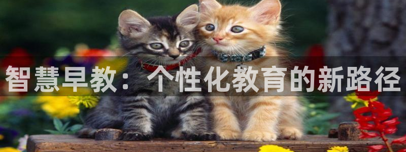 南京天狮娱乐会所：智慧早教：个性化教育的新路径