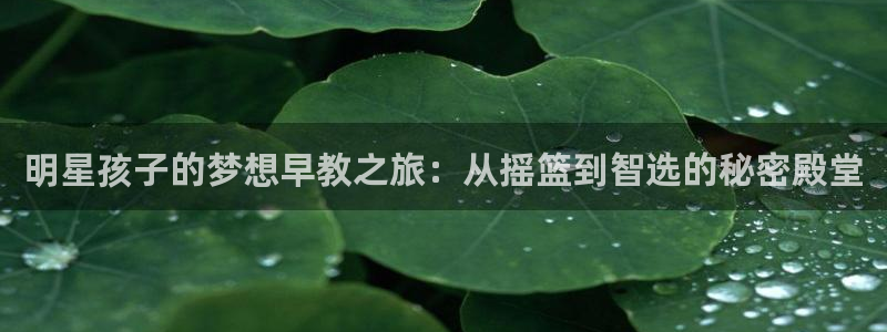 天狮娱乐 82104直招q：明星孩子的梦想早教之旅：从摇篮到智选的秘密殿堂