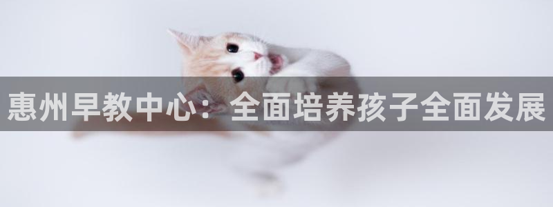 天狮娱乐运营：惠州早教中心：全面培养孩子全面发展