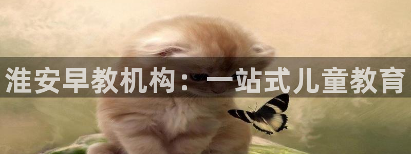 天狮娱乐招商66六26：淮安早教机构：一站式儿童教育