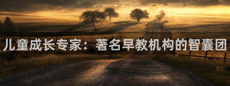 天狮娱乐1990注册：儿童成长专家：著名早教机构的智囊团