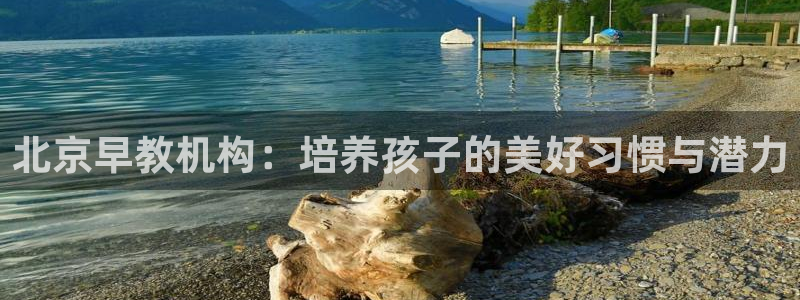 天狮娱乐可靠吗：北京早教机构：培养孩子的美好习惯与潜力
