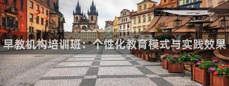 天狮娱乐登陆：早教机构培训班：个性化教育模式与实践效果