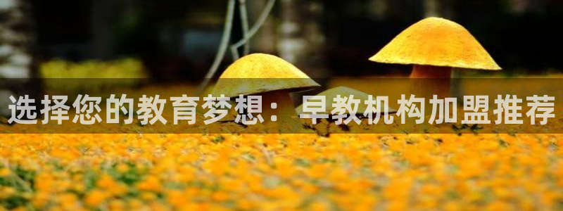 天狮娱乐提现不到账：选择您的教育梦想：早教机构加盟推荐