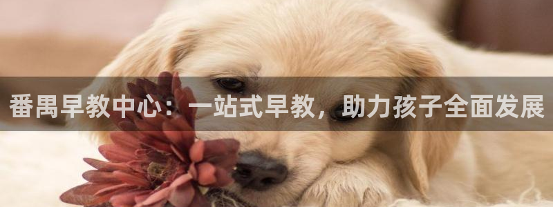 天狮娱乐扣72226:番禺早教中心:一站式早教,助力孩子全面发展