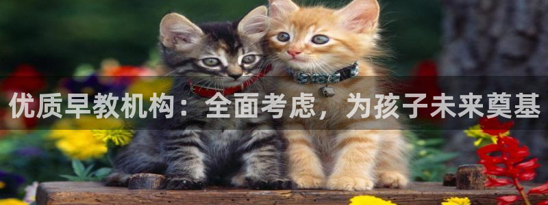 天狮娱乐炔wx15 net:优质早教机构:全面考虑,为孩子未来奠基