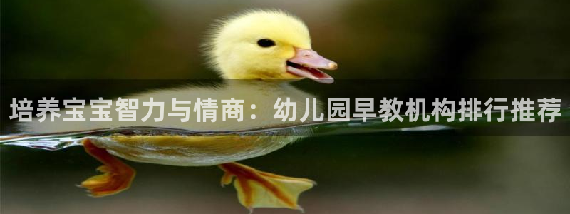 天狮娱乐叶哥:培养宝宝智力与情商:幼儿园早教机构排行推荐