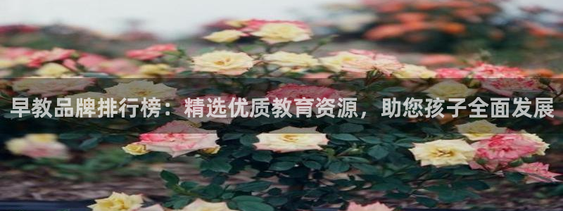 天狮娱乐怎么代理:早教品牌排行榜:精选优质教育资源,助您孩子全面发展