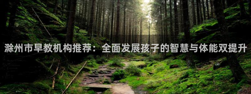 天狮娱乐950594:滁州市早教机构推荐:全面发展孩子的智慧与体能双提升