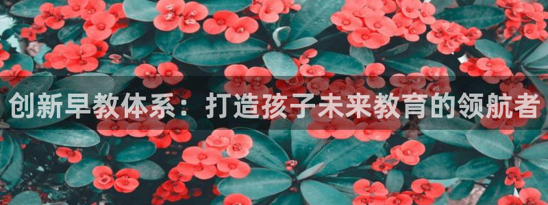 天狮娱乐股东57757:创新早教体系:打造孩子未来教育的领航者