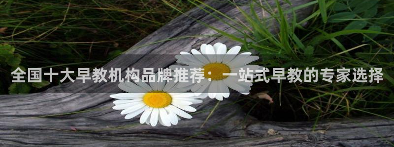 天狮娱乐怎样下载:全国十大早教机构品牌推荐:一站式早教的专家选择
