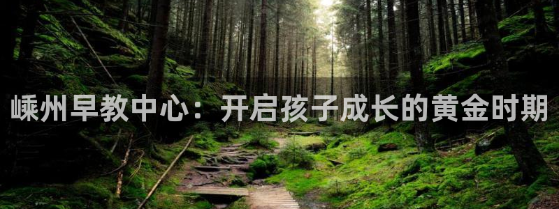 天狮娱乐招代理:嵊州早教中心:开启孩子成长的黄金时期