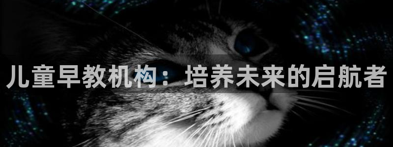 天狮娱乐怎么注册:儿童早教机构:培养未来的启航者