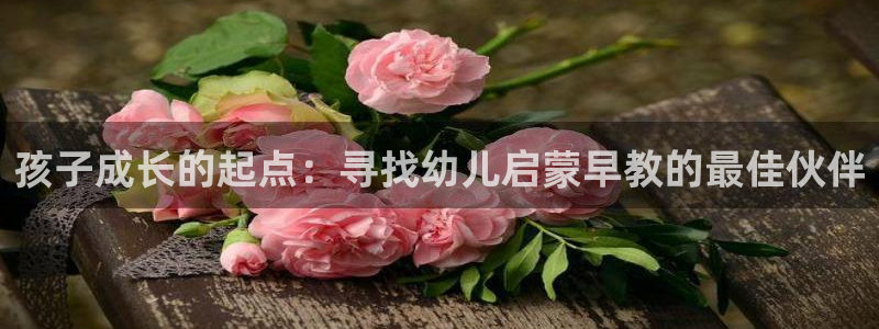 天狮娱乐招商66六26:孩子成长的起点:寻找幼儿启蒙早教的最佳伙伴