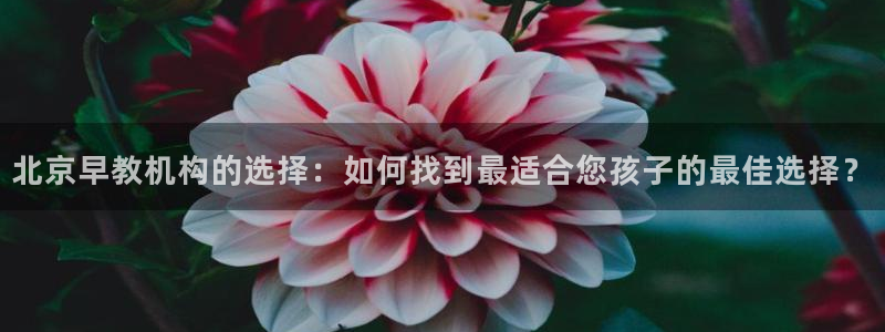 天狮娱乐然:北京早教机构的选择:如何找到最适合您孩子的最佳选择?
