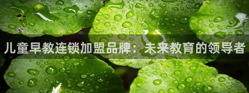 天狮娱乐授权:儿童早教连锁加盟品牌:未来教育的领导者