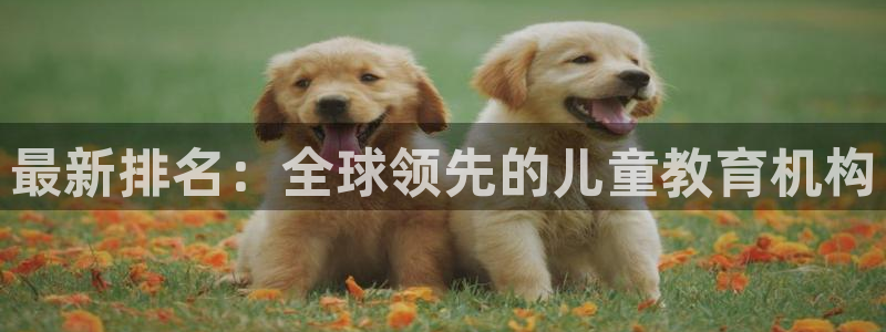 天狮娱乐所:最新排名:全球领先的儿童教育机构