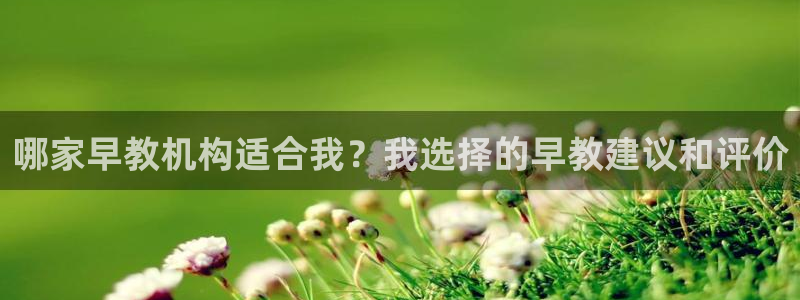 天狮娱乐71009:哪家早教机构适合我?我选择的早教建议和评价