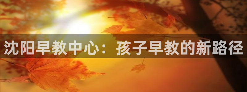天狮娱乐待遇:沈阳早教中心:孩子早教的新路径