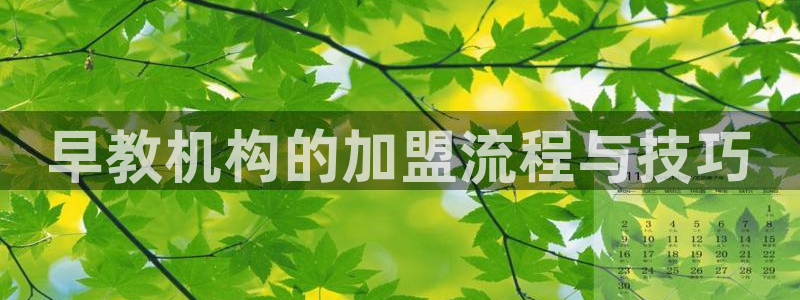 天狮娱乐招:早教机构的加盟流程与技巧