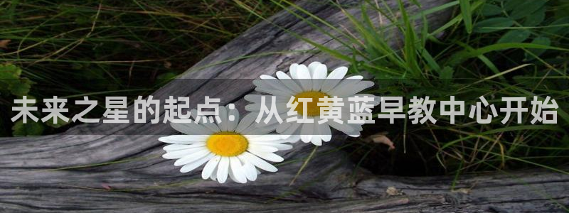 天狮娱乐招商扣:未来之星的起点:从红黄蓝早教中心开始