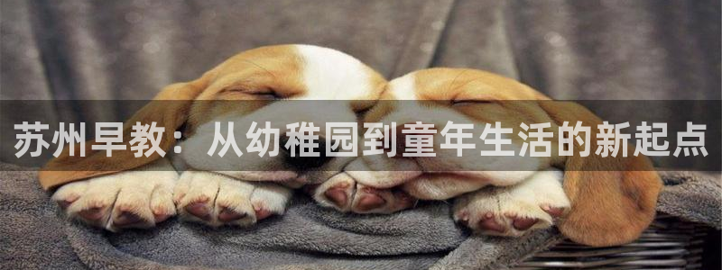 天狮娱乐妙言:苏州早教:从幼稚园到童年生活的新起点