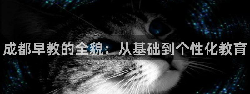 天狮娱乐b 判官是谁:成都早教的全貌:从基础到个性化教育