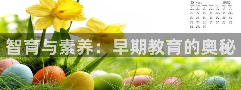 石家庄天狮娱乐会所:智育与素养:早期教育的奥秘