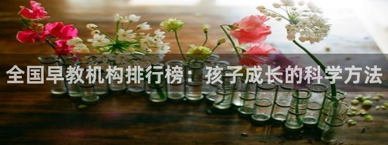 天狮娱乐挂机:全国早教机构排行榜:孩子成长的科学方法