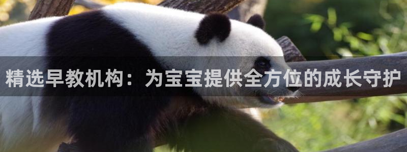 天狮娱乐网址：精选早教机构：为宝宝提供全方位的成长守护