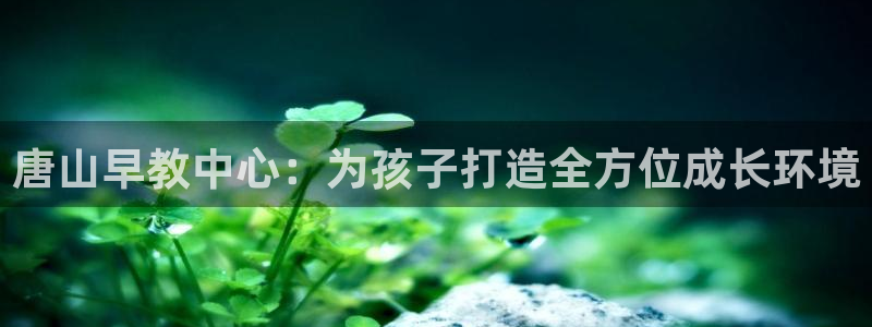 天狮娱乐 31661股z东：唐山早教中心：为孩子打造全方位成长环境