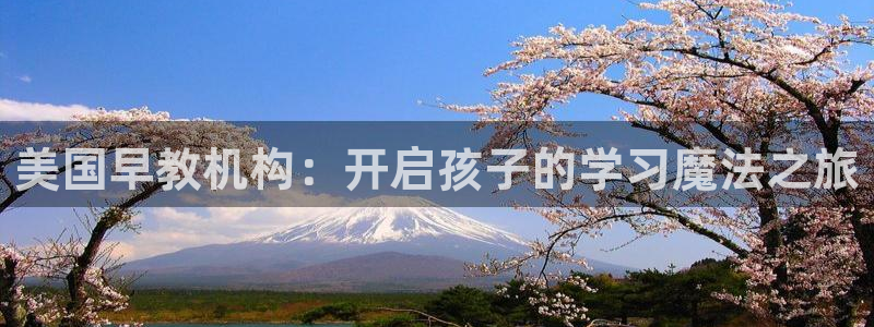 天狮娱乐所：美国早教机构：开启孩子的学习魔法之旅